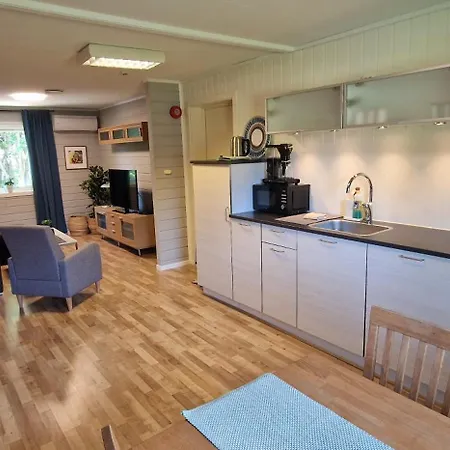 Damveien 1-apartment
